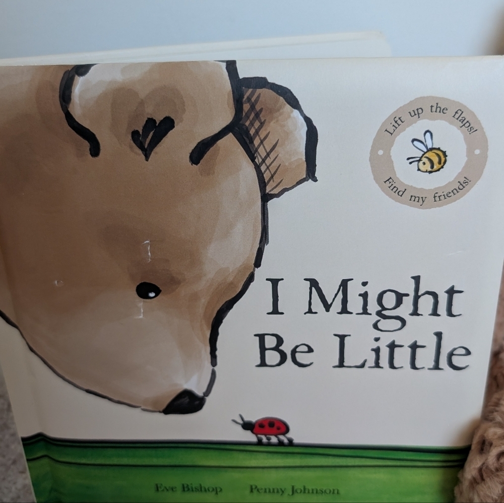JELLYCAT Bumbly Bear Small New With Tags Plush BUM6BR And Book I Might Be Little - Picture 11 of 14